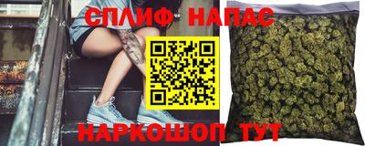 шишки Пенза