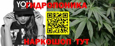 прущие грибы Партизанск