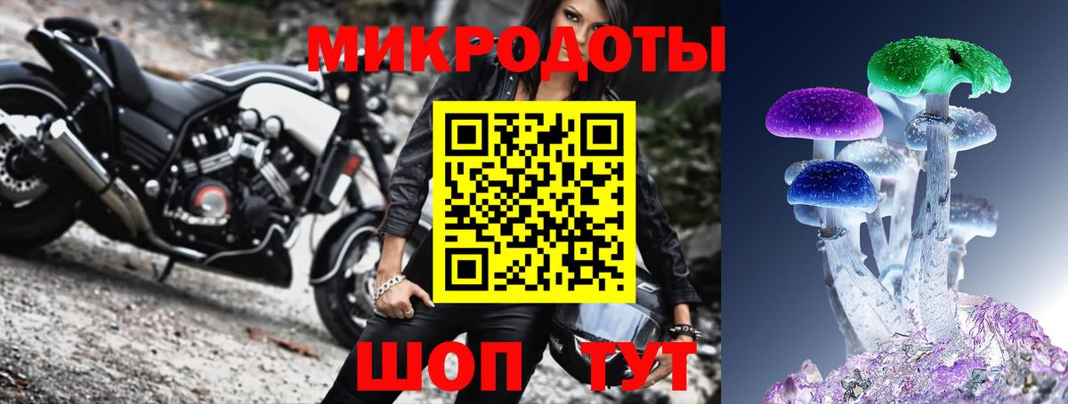 Псилоцибиновые грибы прущие грибы Светлоград