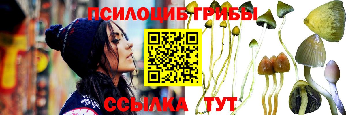 Светлоград  Псилоцибиновые грибы Magic Shrooms  Вход с VPN  Галлюциногенные грибы Psilocybine cubensis 